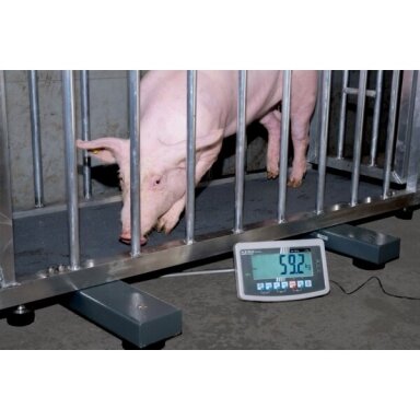Paletinės svarstyklės KERN UFA, 3000 kg
