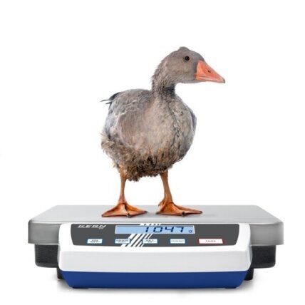 Platforminės svarstyklės KERN DE, 60 kg; 150 kg (didelio tikslumo) 3