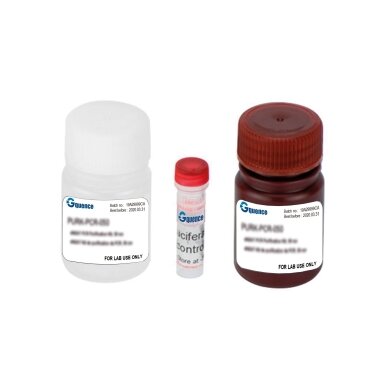Luciferase Reporter Assay Kit