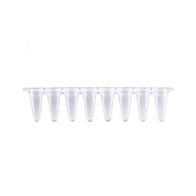 qPGR mėgintuvėlių juosta (0.1 / 0.2 ml)