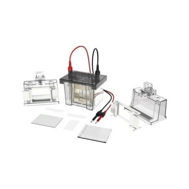 Vertikali elektroforezės sistema VOLT V80