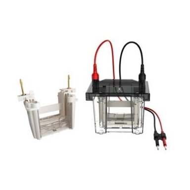 Vertikali elektroforezės sistema VOLT V80