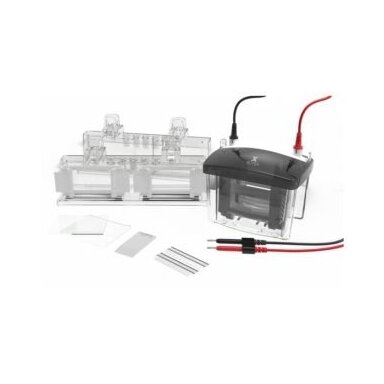 Vertikali elektroforezės sistema VOLT VX80