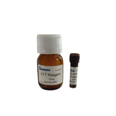 XTT Cell Proliferation Assay Kit